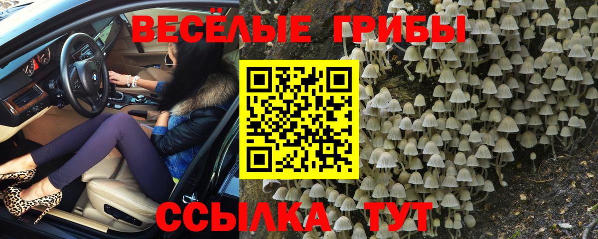 Шатура  Псилоцибиновые грибы Magic Shrooms  закладки  Галлюциногенные грибы Cubensis  Вход с VPN 